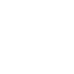 dog wellness icon - white