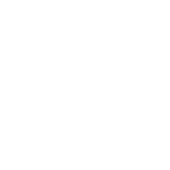 Shield with checkmark icon
