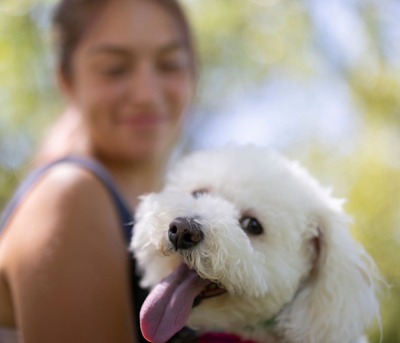 woman holding white dog